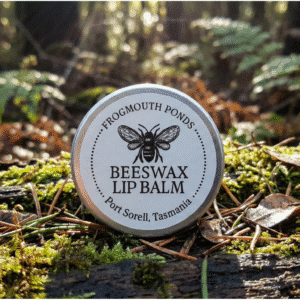 A frogmouth ponds lip balm tin on a log in a rain forest setting