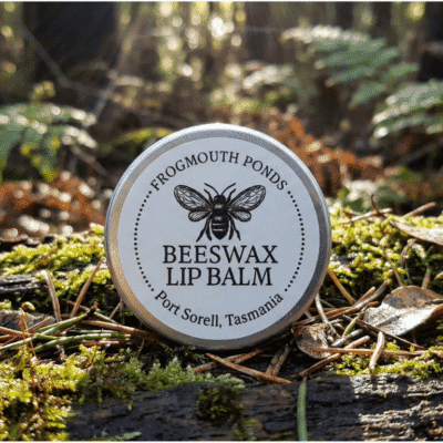 A frogmouth ponds lip balm tin on a log in a rain forest setting