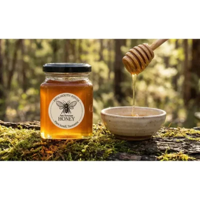 Branded jar of Frogmouth Ponds pure Tasmanian honey on a mossy log in a Port Sorell forest with honey dripping from a wooden dipper into a bowl.