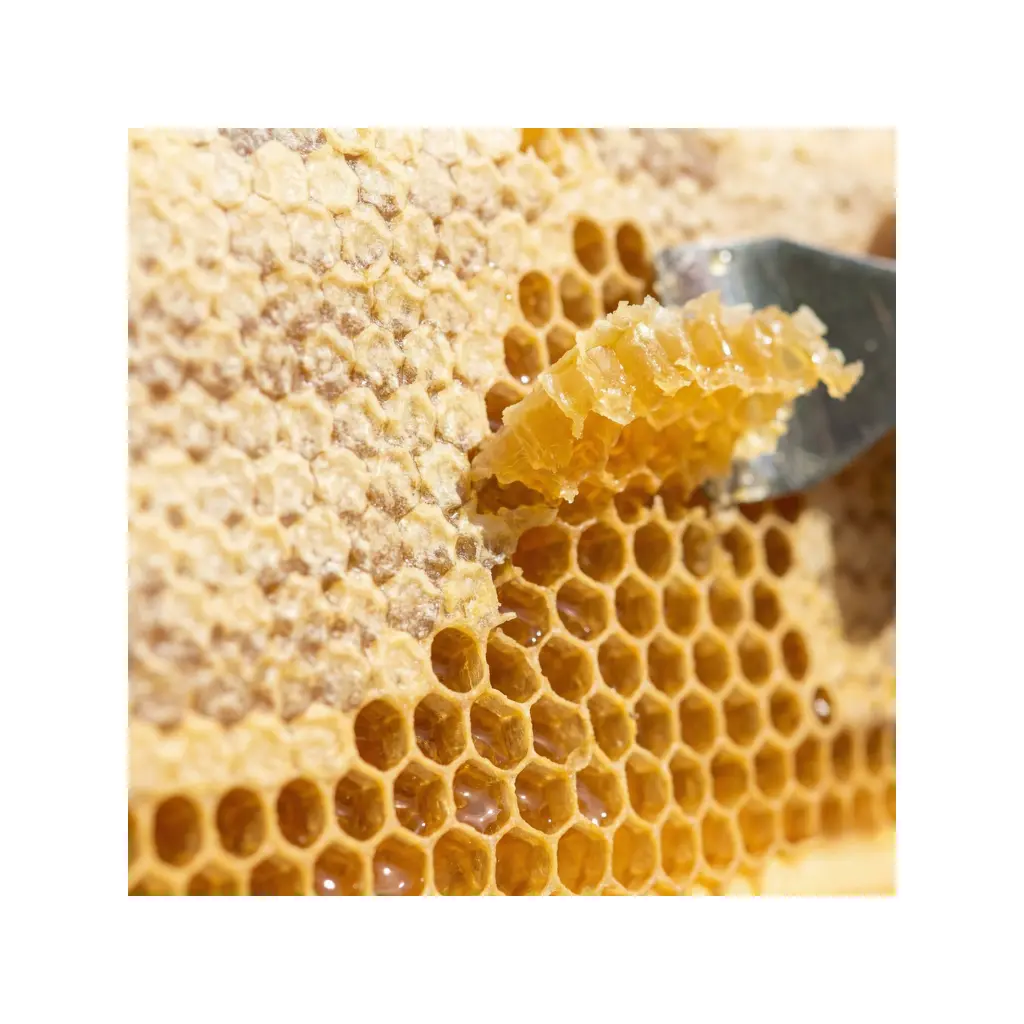 Macro shot of raw golden beeswax capping from a Frogmouth Ponds beehive.