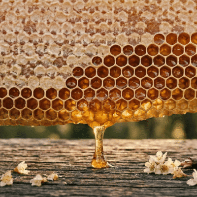 Why We Use Tasmanian Beeswax in Every Lip Balm We Make