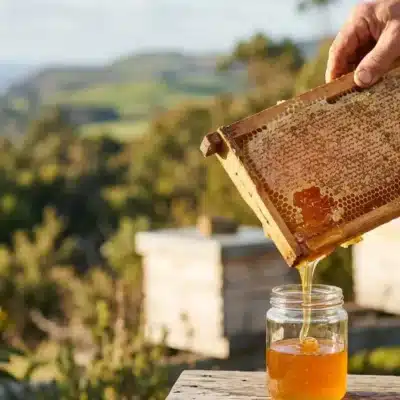 Raw Tasmanian Honey — What It Is and Why It Matters