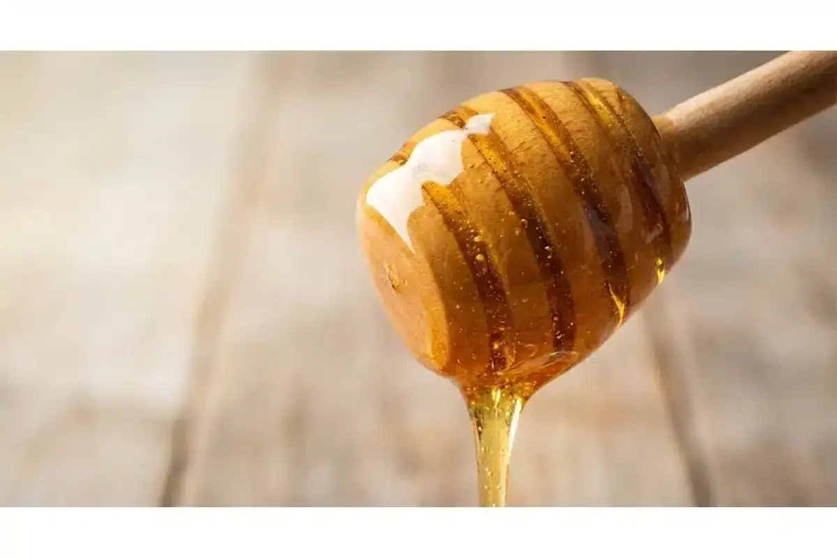 Macro view of raw Port Sorell honey dripping from a wooden dipper, highlighting the cold-extracted purity and medicinal quality of the 2026 harvest.